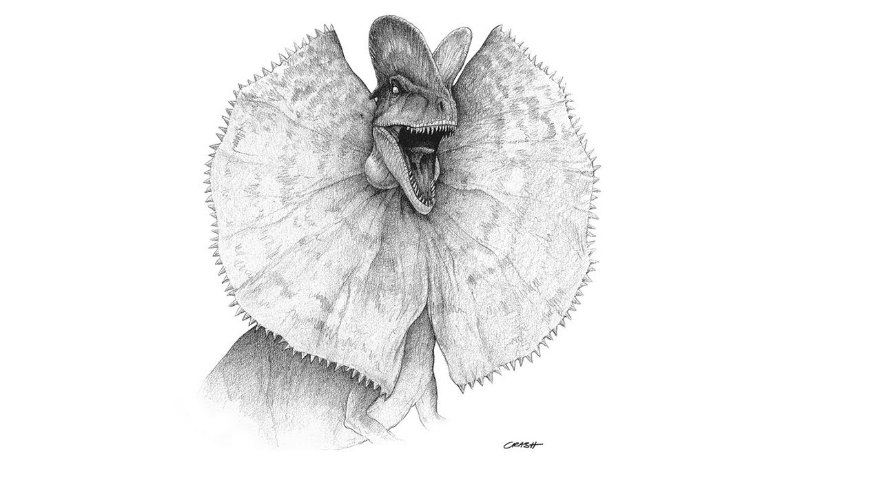 JURASSIC PARK's Spitter - Building the Dilophosaurus Dinosaur puppet