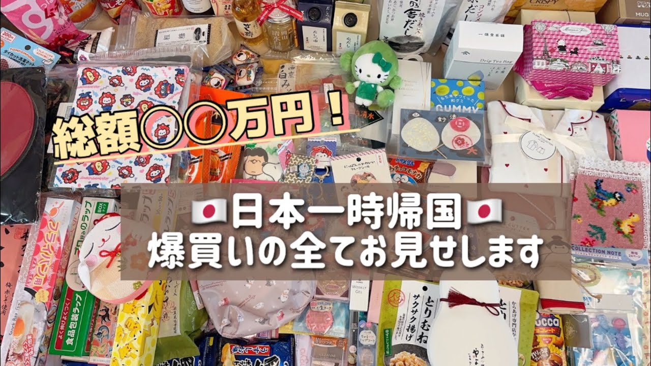 【日本一時帰国🇯🇵購入品】総額◯◯万円？！韓国在住日本人はこんなもの買って帰ります/今回も日本で爆買い&散財そして最後にやらかす【韓国在住日本人】