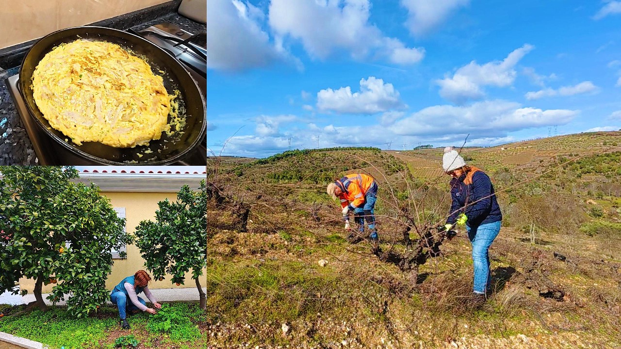 UMA TARDE DE SOL NO CAMPO - TORTILHA DE FRANGO