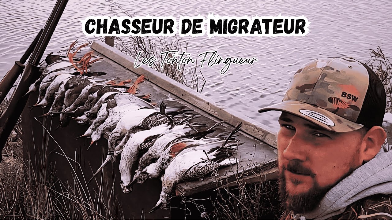 CHASSE AUX LIMICOLES DÉBUT DE SAISON 2025-2026