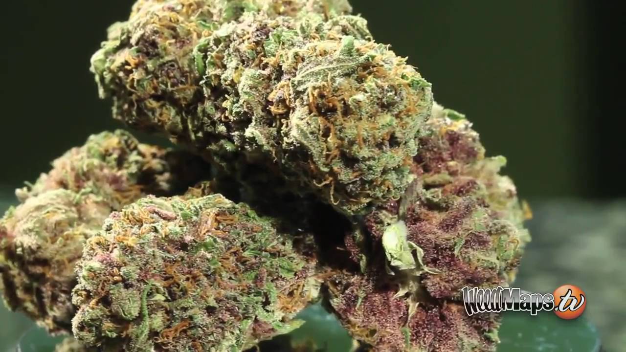 What is THCV? 420 Evaluations Online