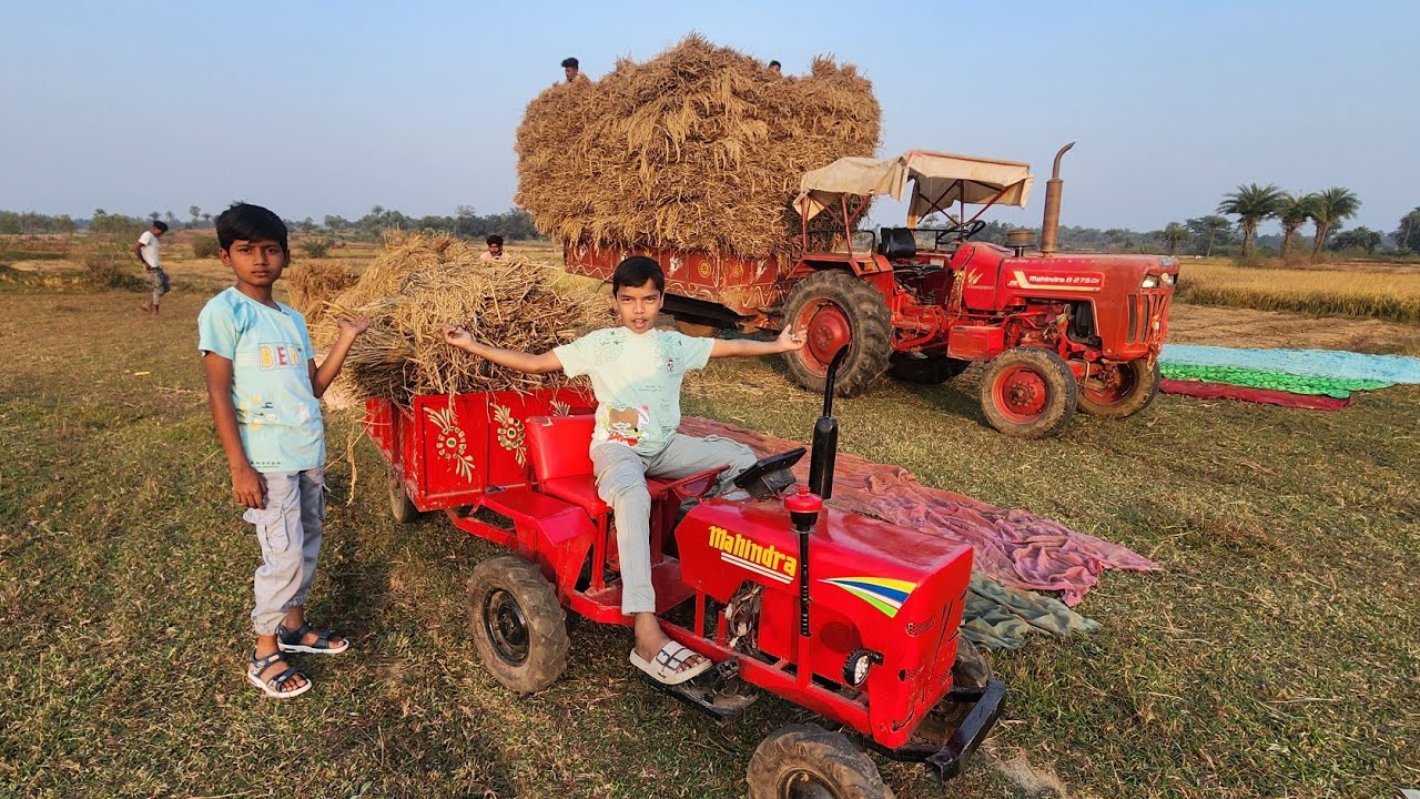 अपने मिनी ट्रेक्टर से कटे धान को लेने खेत आ गया | Harvested Paddy Loading In Mini Tractor
