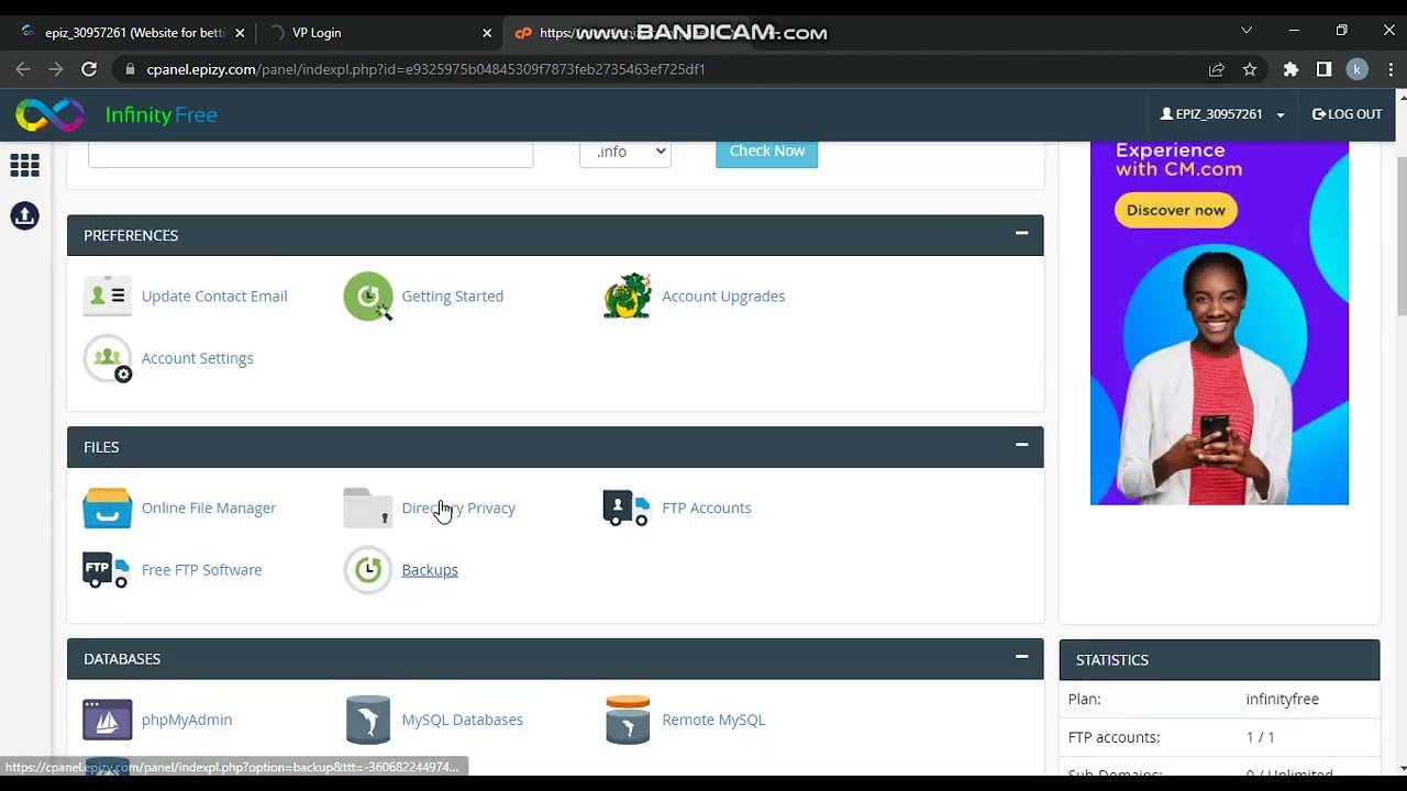 How to delete domain in infinity free using cpanel