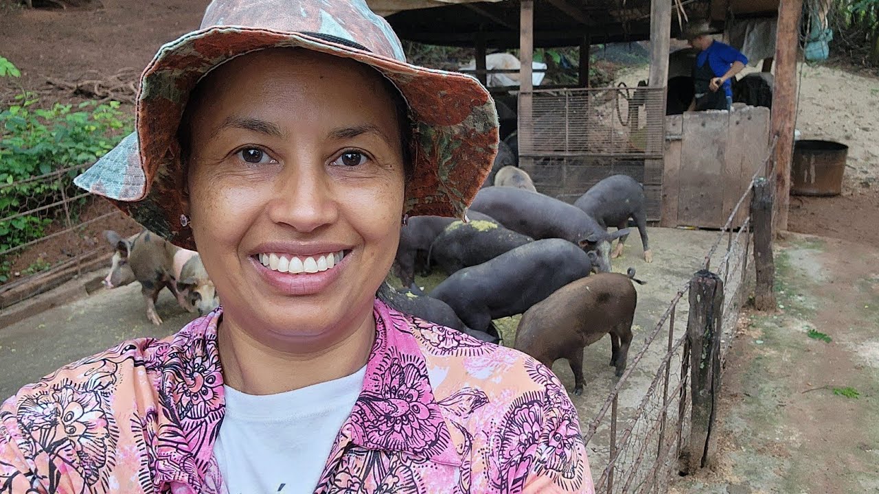 MORINGA, SE VOCÊ QUER ECONÔMIA  E RESULTADOS  ESSE É CAMINHO.