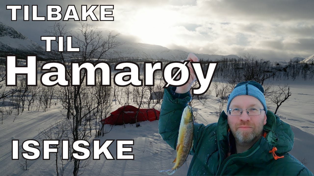 Tilbake til Hamarøy