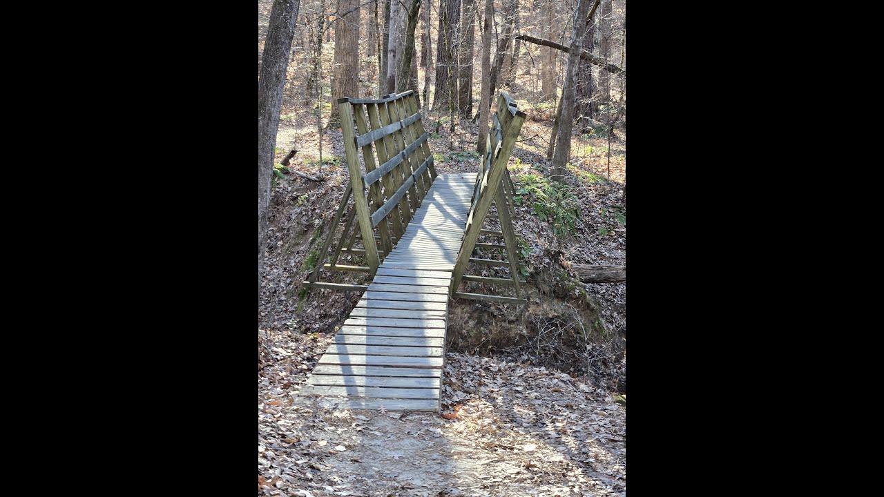 RTP Mountian Bike Trail