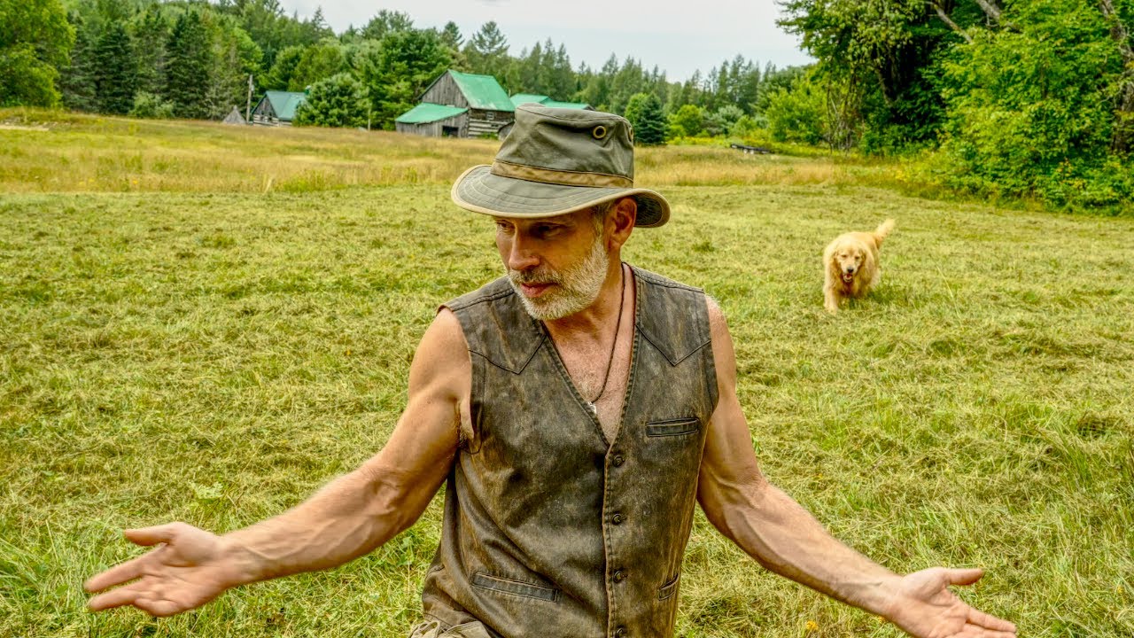 6 Families, 3 Homesteads | Regenerating an Abandoned Pasture | My Mentor