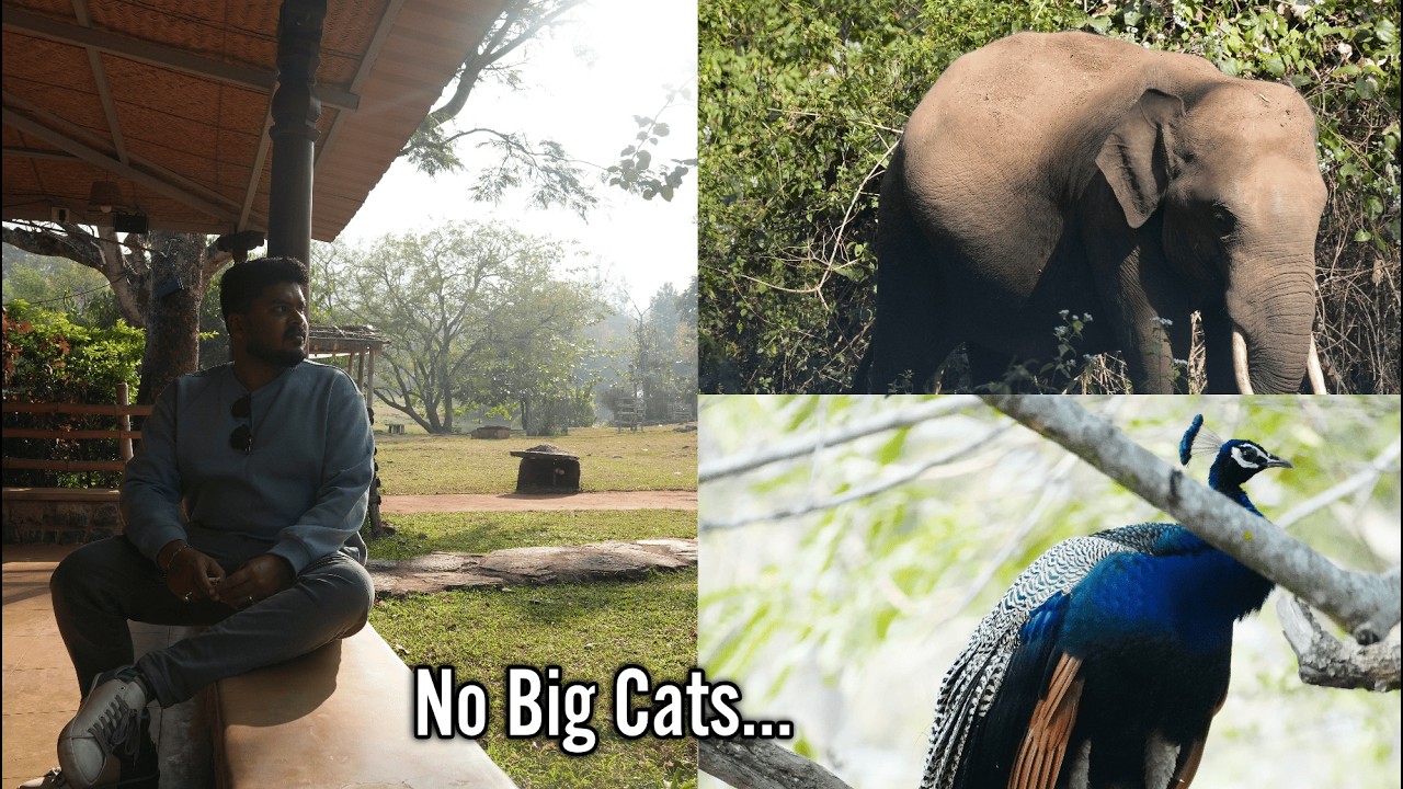 A Full Day Inside Mudumalai Tiger Reserve! | Safari & Jungle Hut Experience