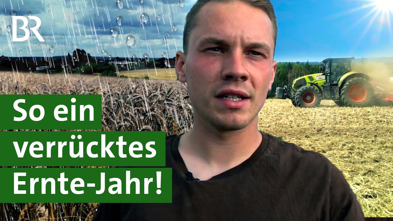 D&uuml;rre und Dauerregen: Wie war das Jahr f&uuml;r Kartoffeln und Getreide? | Ernte 2023 | Unser Land | BR
