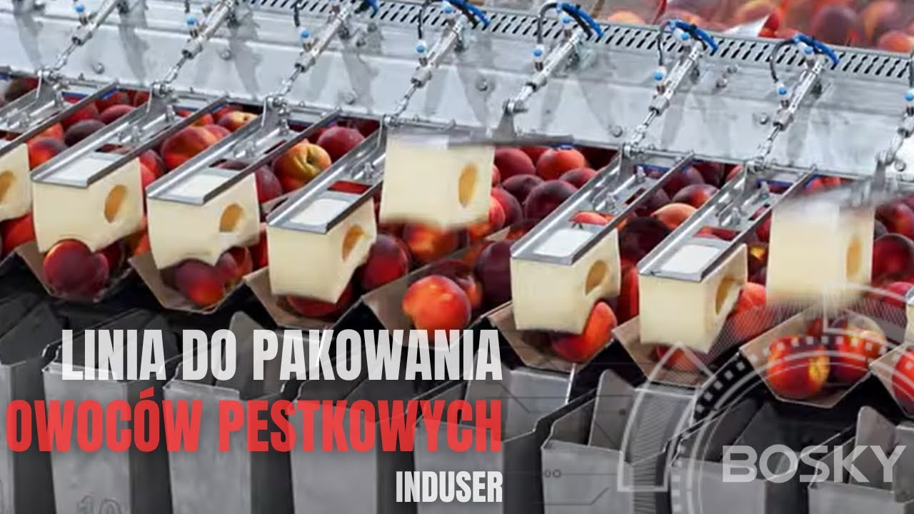 Linia do pakowania owoców pestkowych 🍑 case study