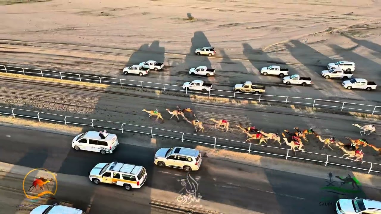 مشاهدات جوية لسباق الهجن في ميدان ينبع
