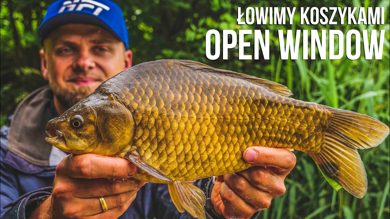 Łowimy na koszyczki Open Window