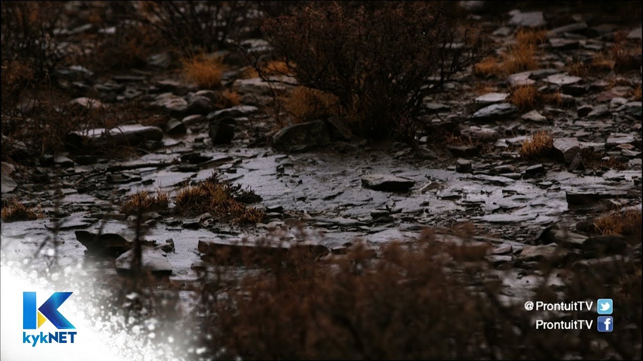 Droogte in die Sentraal-Karoo, Seg 3 - PRONTUIT | 25 Feb 2019 | kyknet