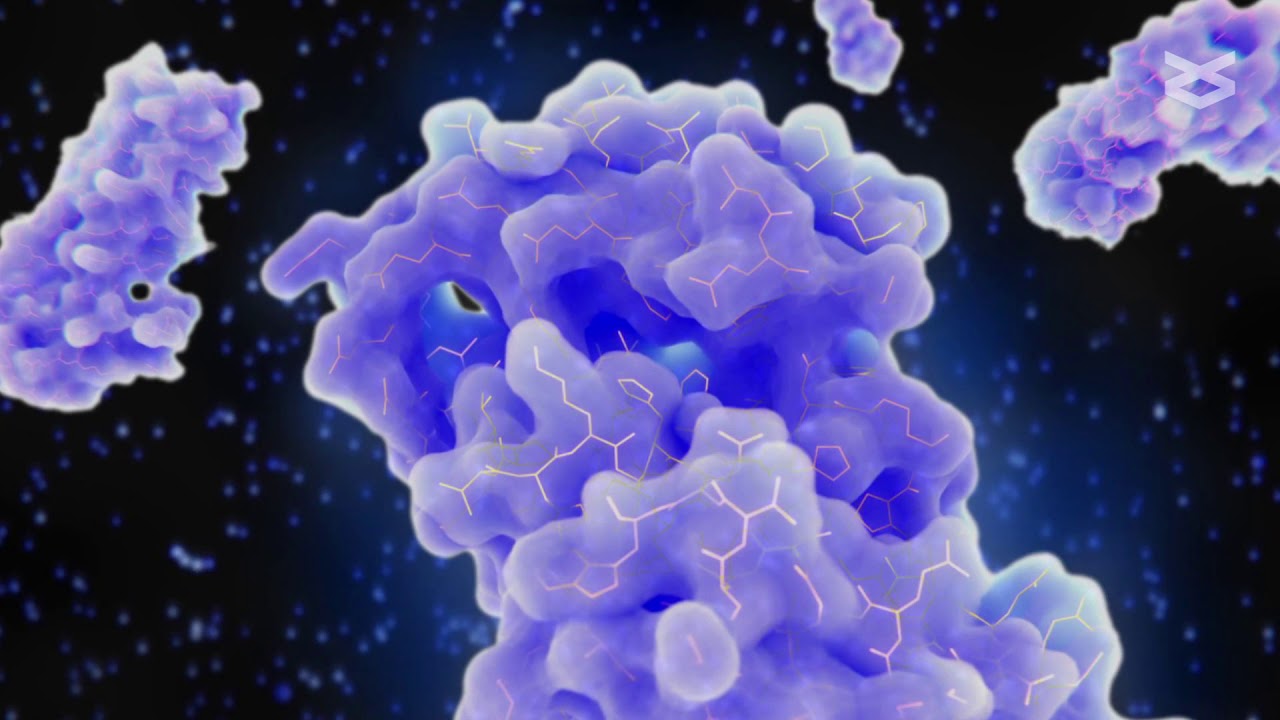 Heat shock response regulates proinflammatory NF &kappa;B signaling in cancer cells