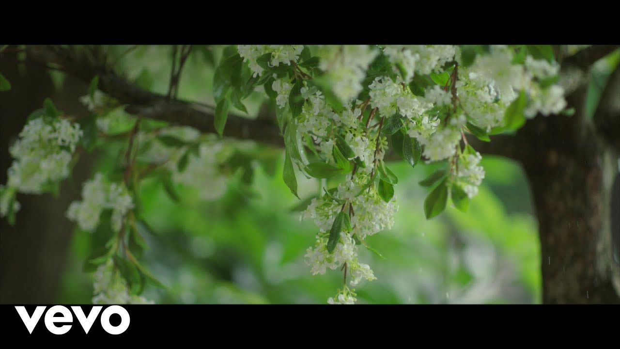 林彦俊, 万鹏 - 《原来我很爱你》影视原声带