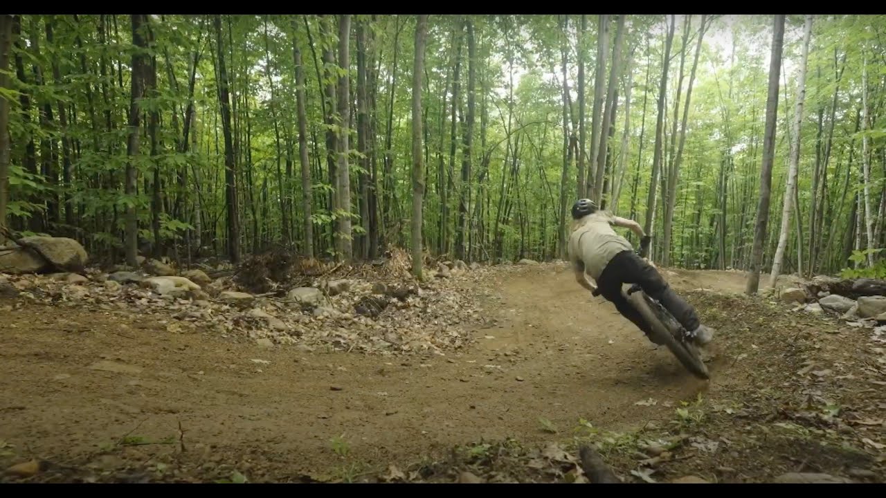 Montebello V&eacute;lo - Projet Chat Sauvage