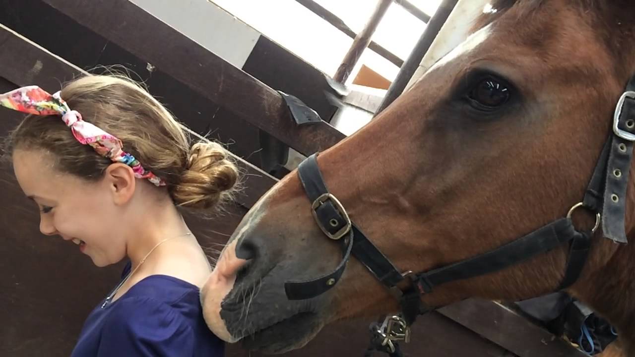 Oscar the Horse Grooming / Scratching Lizzie's Back