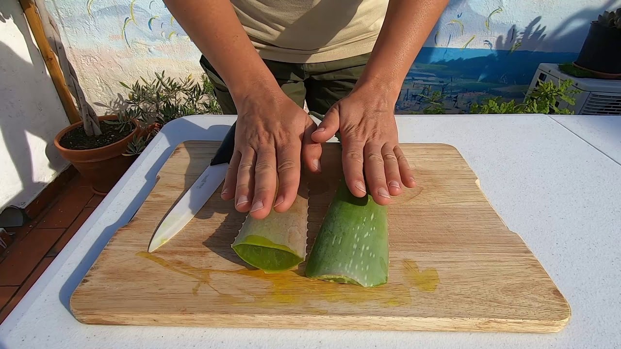 Cómo hacer crema de aloe vera y aguacate