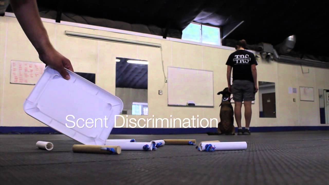 Tom Rose School Master Graduate Carolyn Cabot