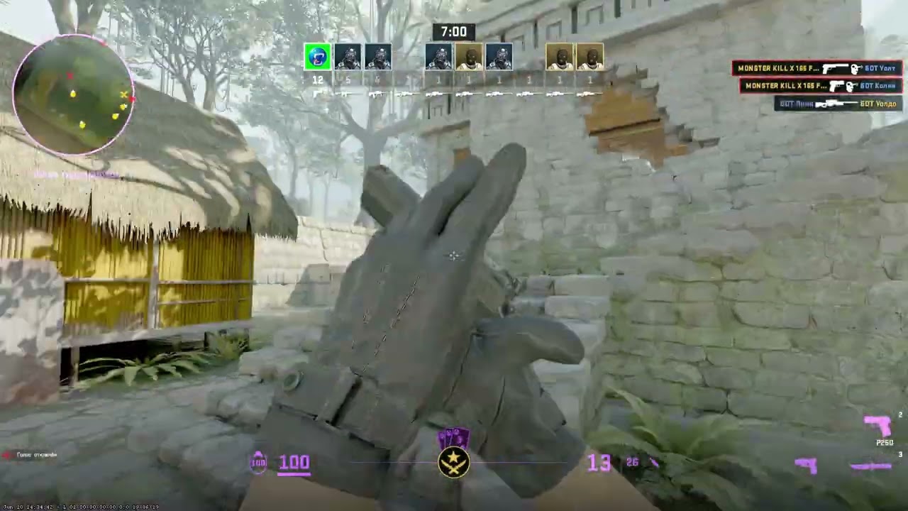 играю с ботами в тренировке