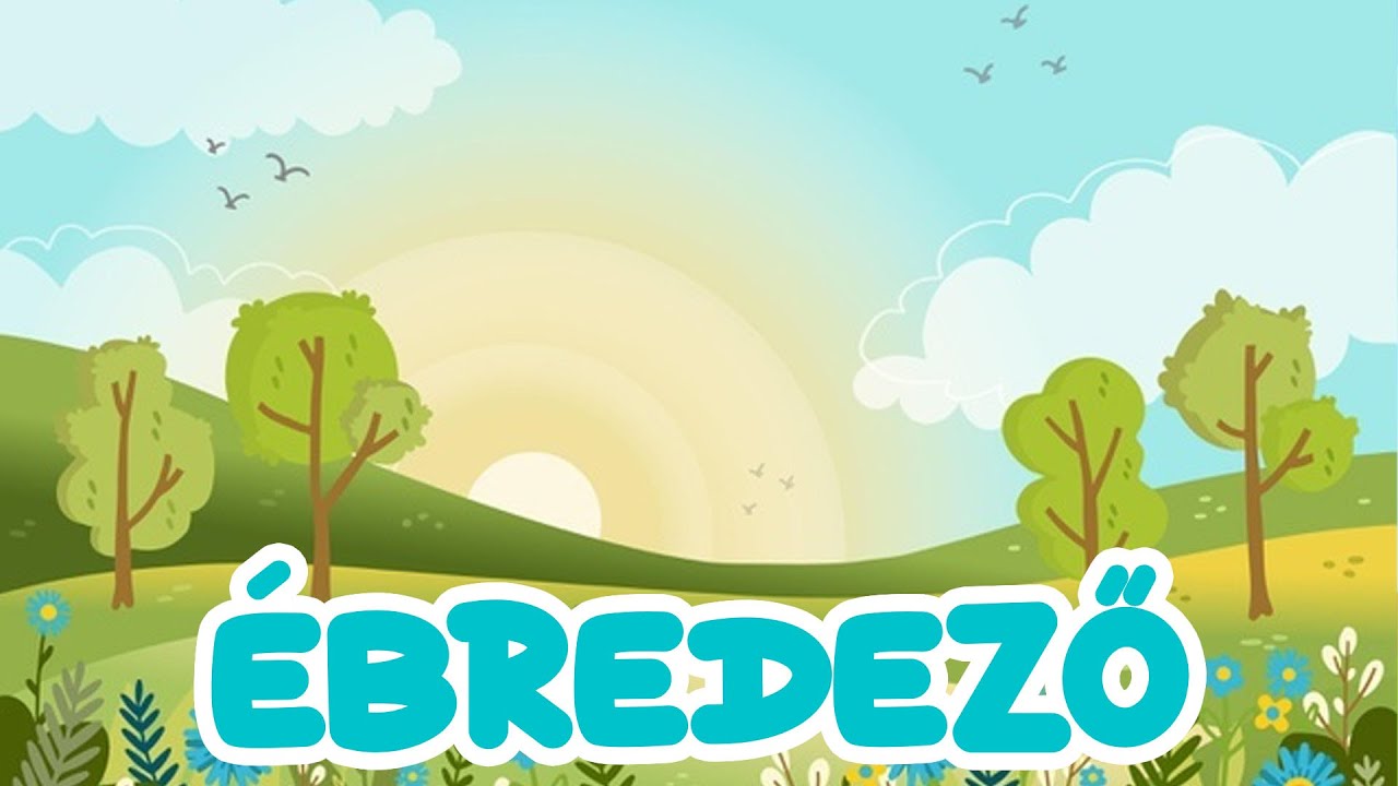 Ébredező - Ébresztő hétalvó
