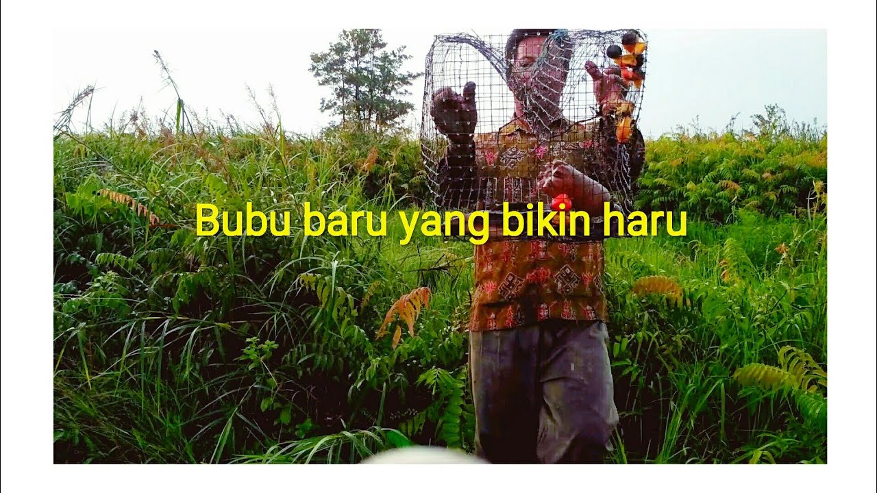 lihat bubu yang bikin haru