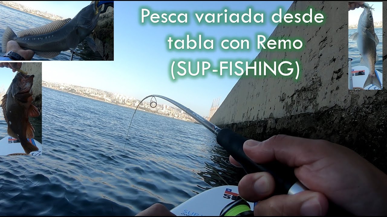Efectiva y entretenida Pesca ligera sobre un Stand Up Paddle (SUP) | Chile | POV | 2024