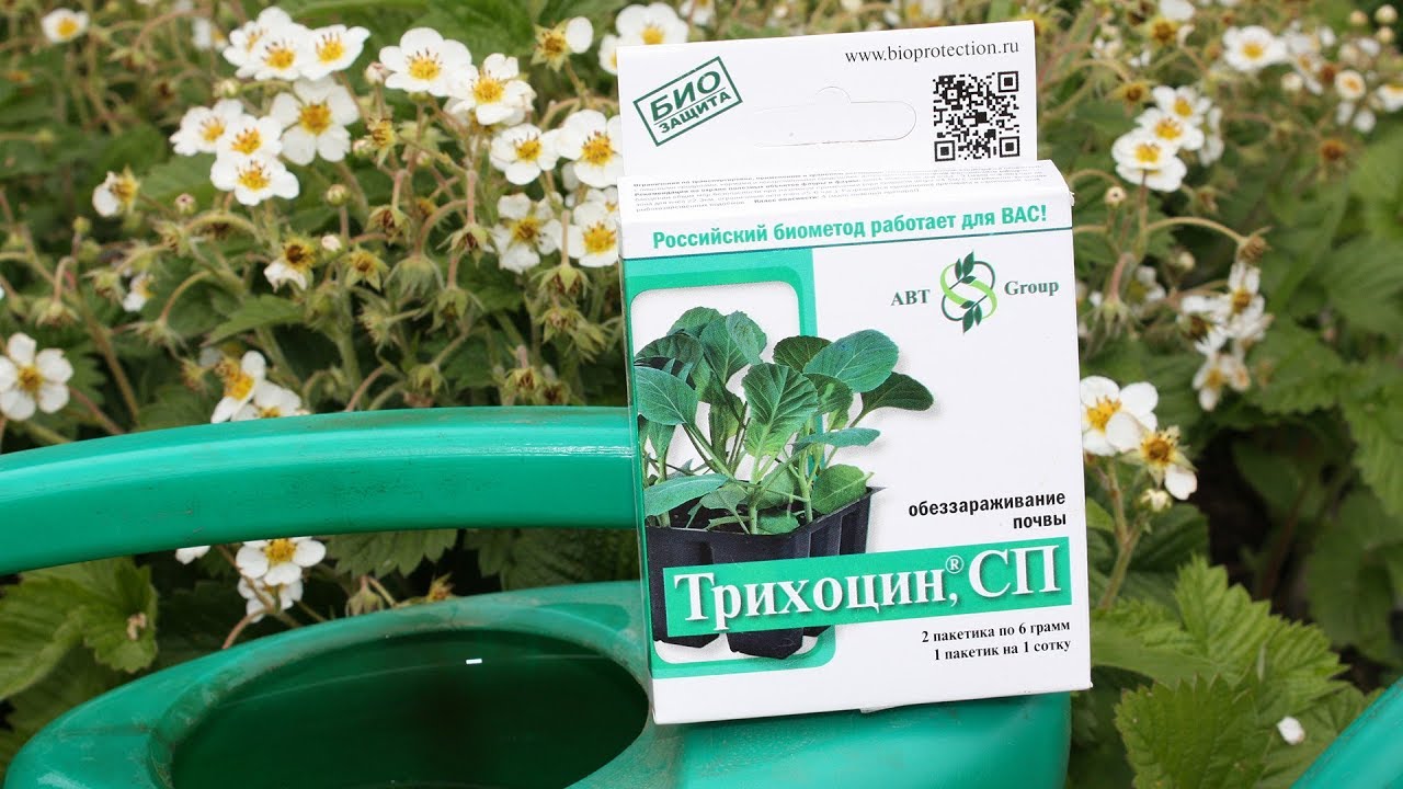 СРОЧНО   Биопрепараты от болезней растений  Сделайте это в июне!