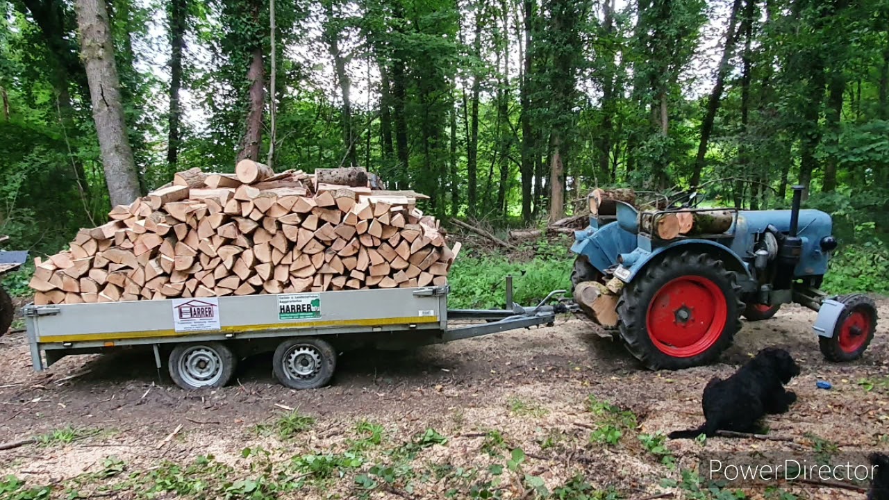 Mit Eicher ED 16, ziehen wir ca. 4-5 T. schweren Anhänger mit Holz durch tiefen Matsch den Berg hoch