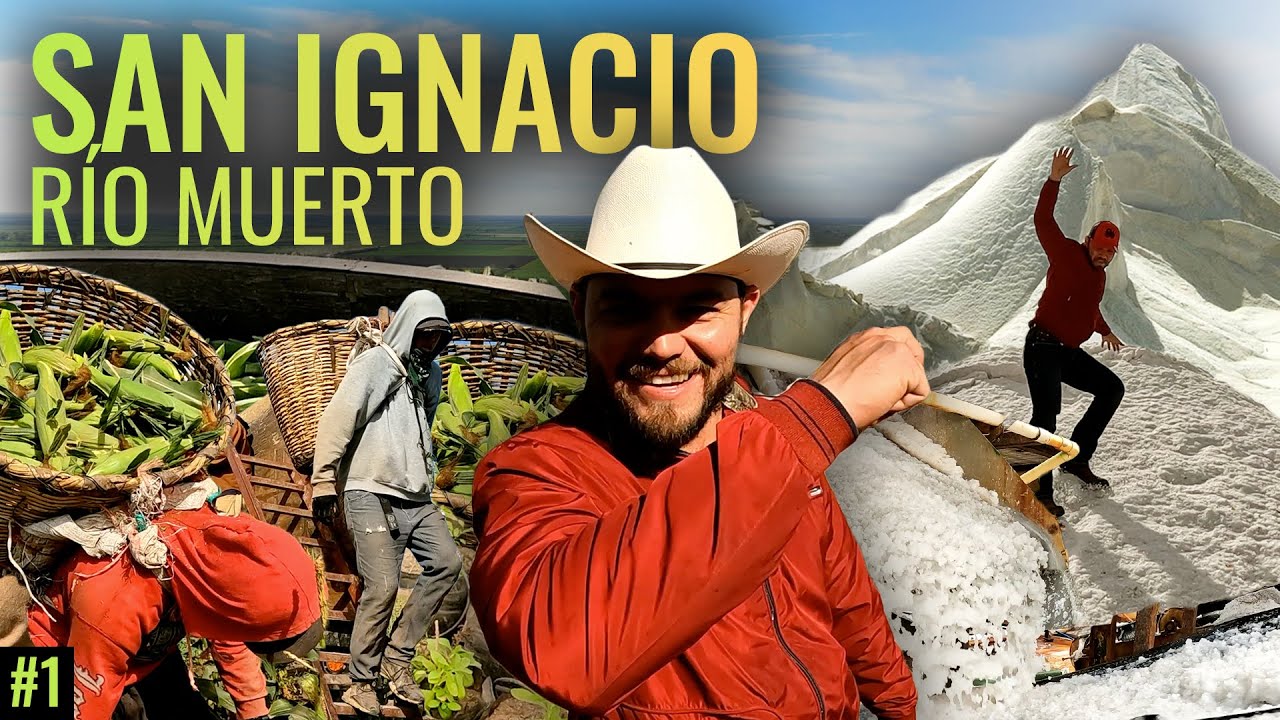 SAN IGNACIO RÍO MUERTO, SONORA | La producción de MATERIAS PRIMAS como el azúcar y la sal.