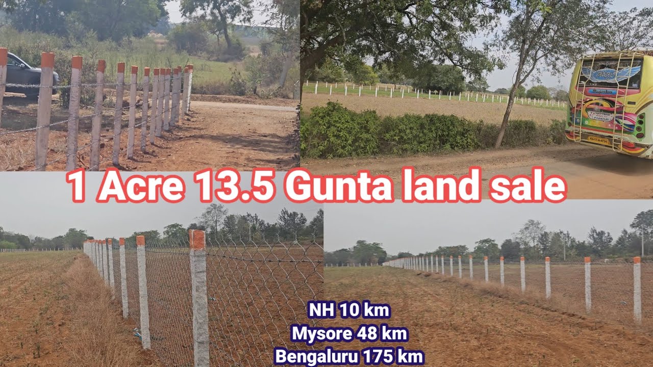 1 acre 13.5 gunta land for sale fencing red soil NH 10 km Mysore 48 km Bengaluru 175 km 9845736390
