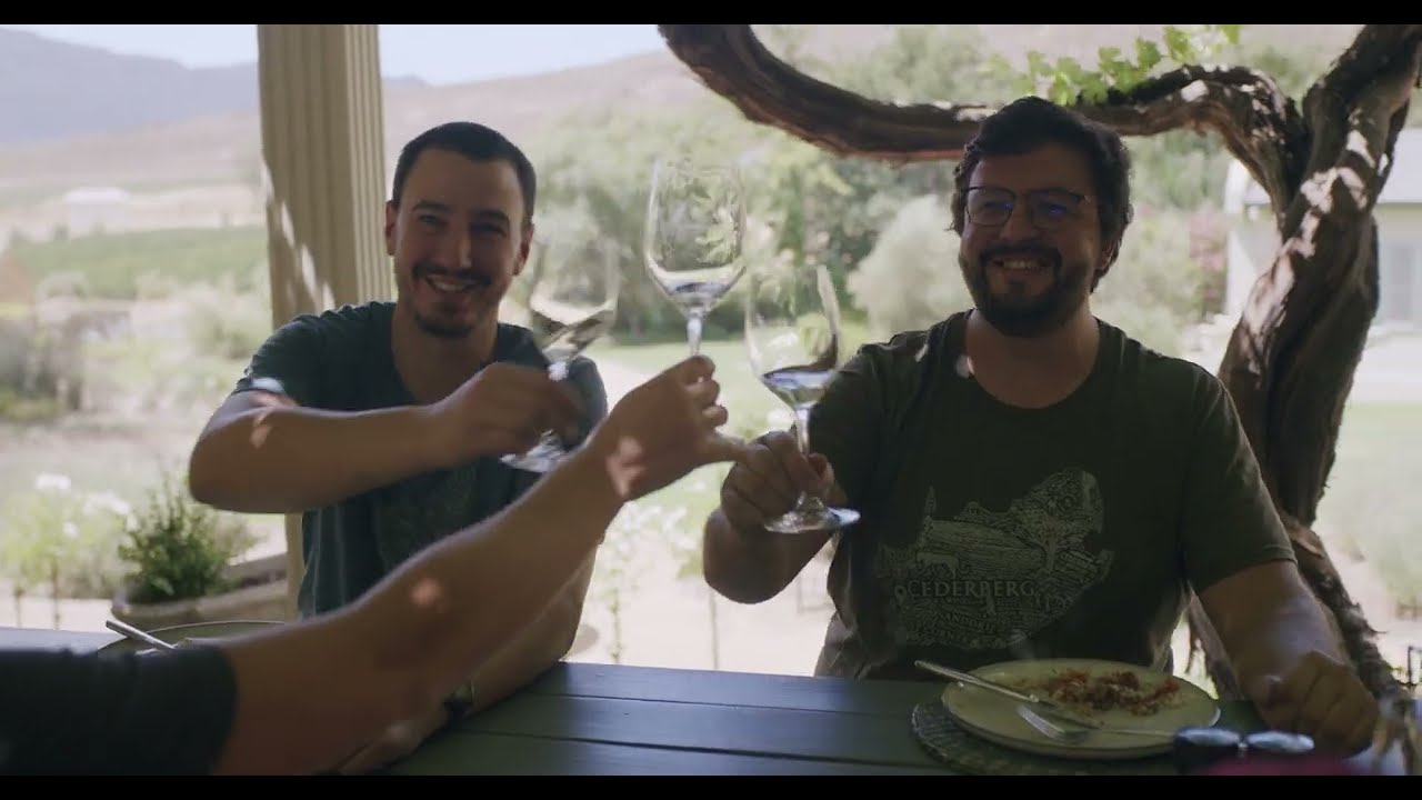 Cederberg Wines: The Story of Harvest 2025