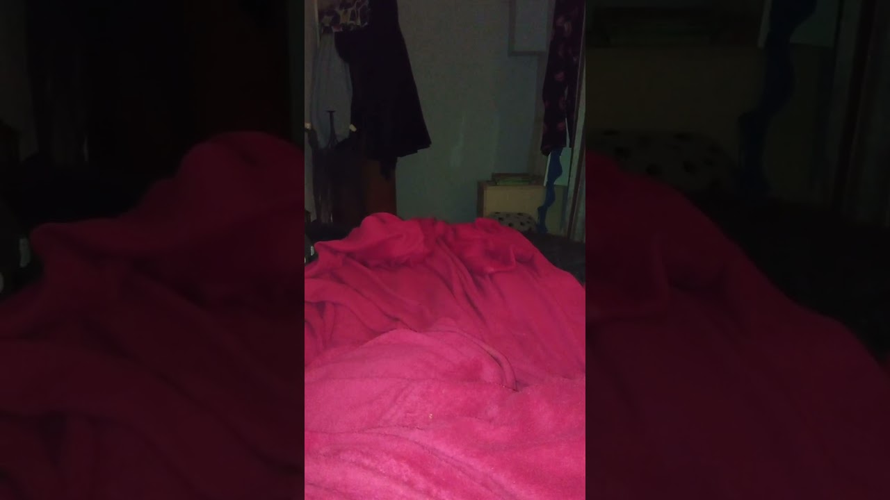 Meet Some Of The Coalition Of Epsteiner Kid's PT 2