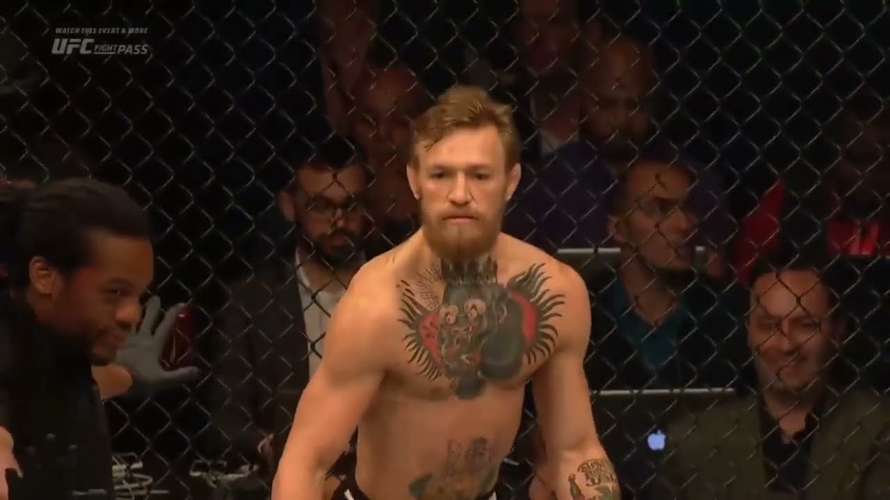 Conor Mcgregor edit test and recognise ufc