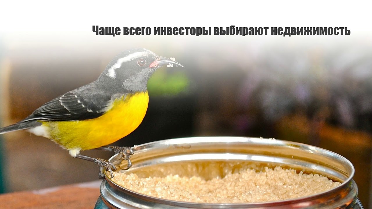 Где можно получить гражданство без проблем: Антигуа и Барбуда