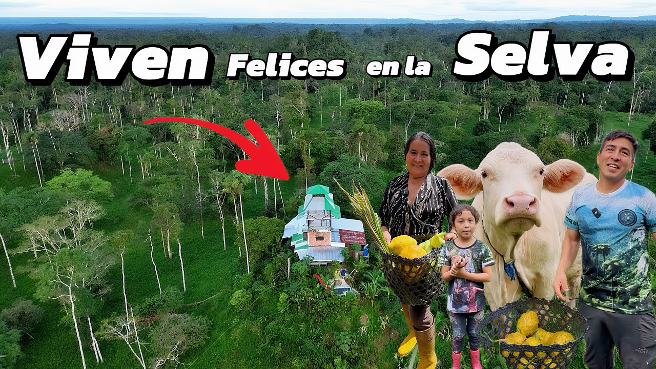 Encontraron la felicidad en la selva Amazónica 