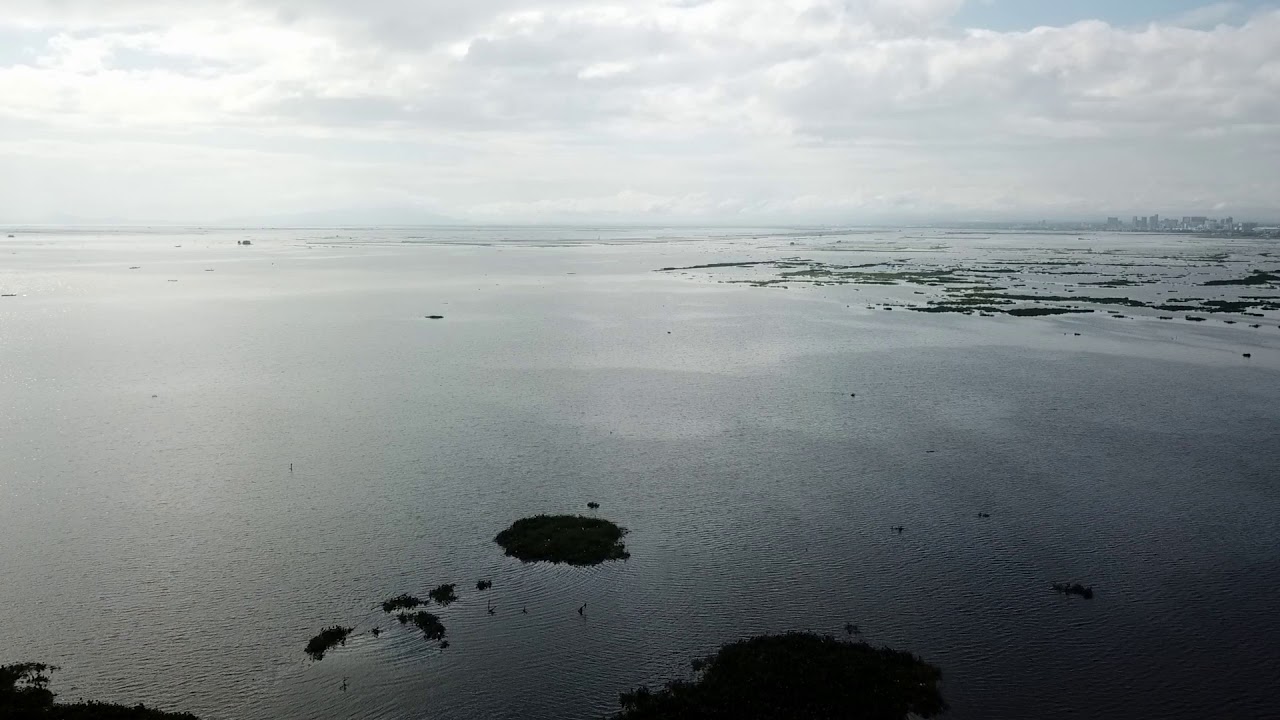 Typhoon Ulysses After Effects, A Short Video