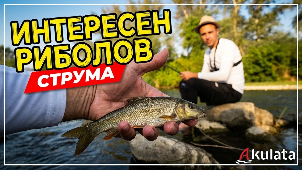 Мряна на зеленки. Речен риболов на Струма