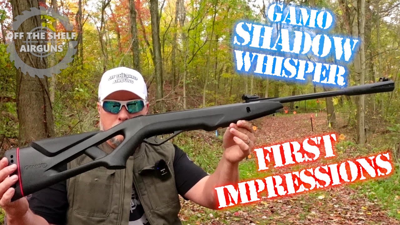 Первые впечатления от Gamo Shadow Whisper