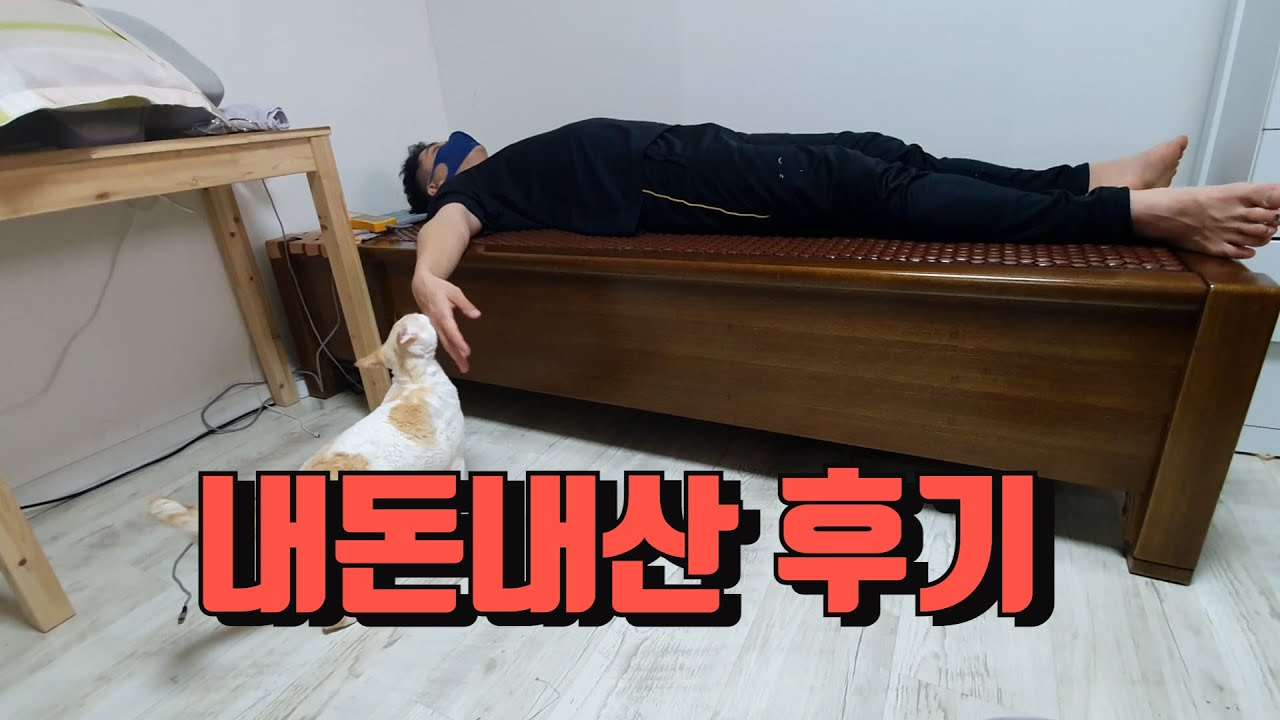 물리치료사가 써본 3H지압침대 리뷰 (세라잼과 비교후 구매)