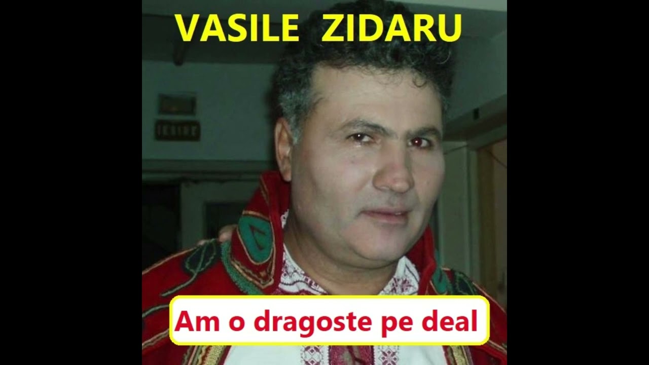Vasile Zidaru-Am o dragoste pe deal