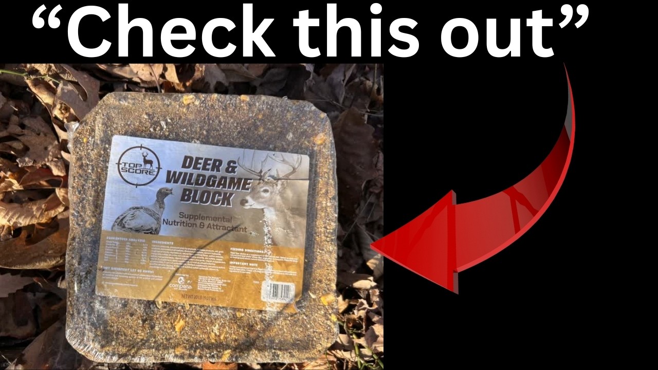Deer & Wildgame Block Review | Does the Walmart Block Work?