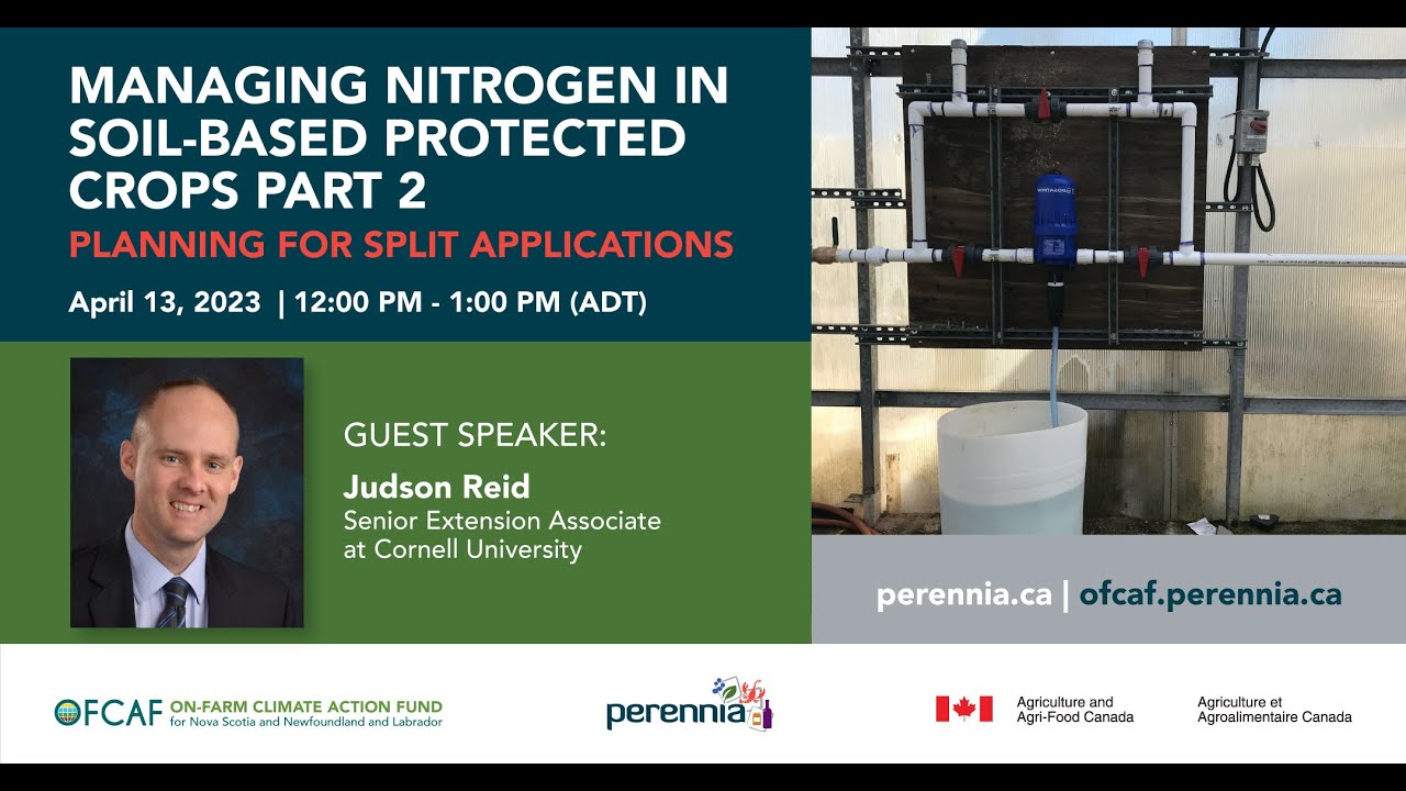 Managing Nitrogen in Soil-Based Protected Crops - Planning for split applications