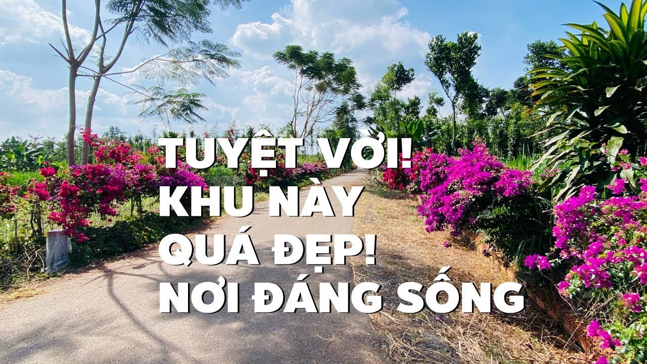 Quá rẻ! Chỉ còn 700tr cho mảnh vườn đẹp ở BR-VT ngay gần chợ trung tâm