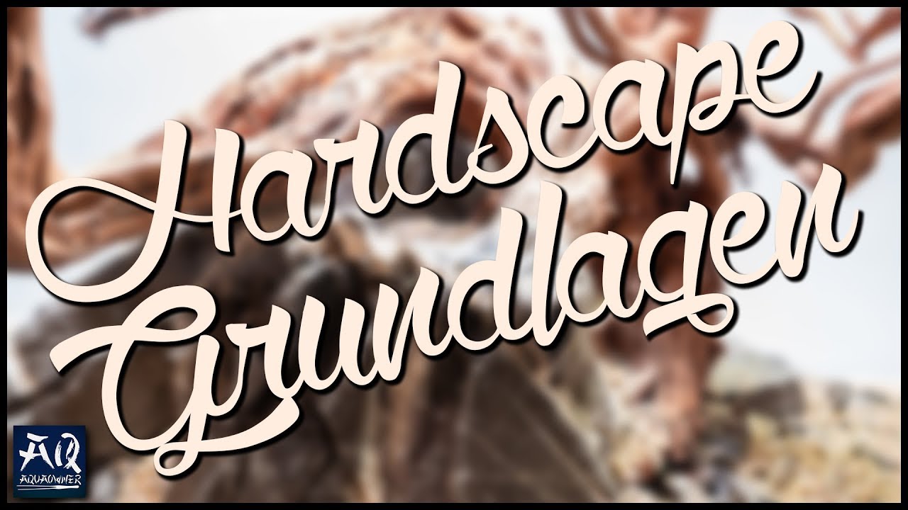 Gestaltungsgrundlagen f&uuml;r dein Hardscape | AquaOwner