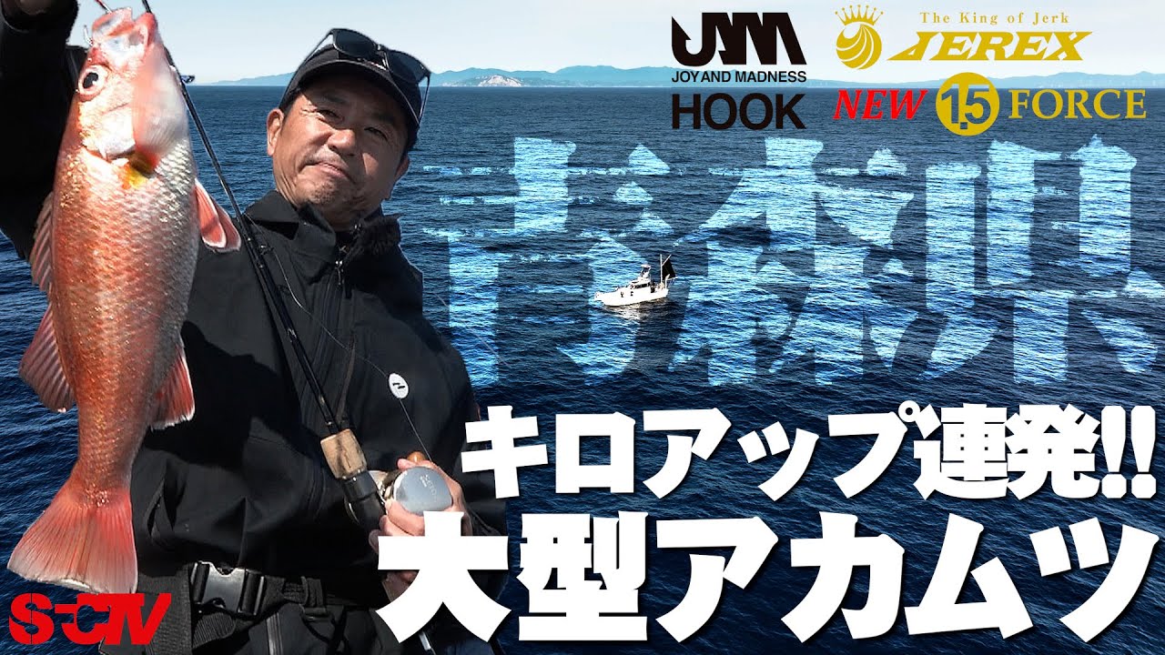 SFC‐TV 青森のアカムツ