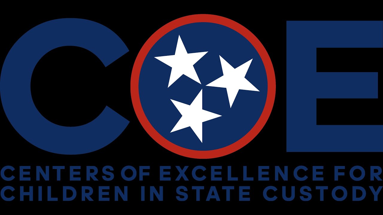 ID/DD Services for Child Welfare Involved Families