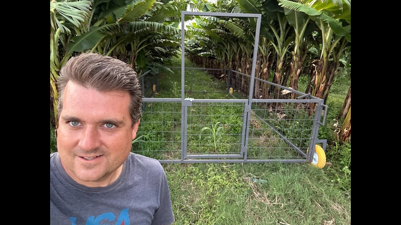 Harnessing Controlled Mob Grazing In High Value Crops