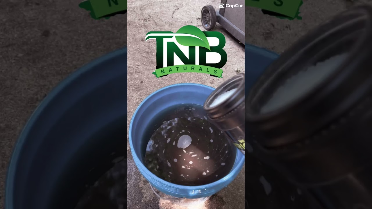 stevegrows - @tnbnaturals Enricher is kicking my outdoors plants into high gear!! #tnbnaturals