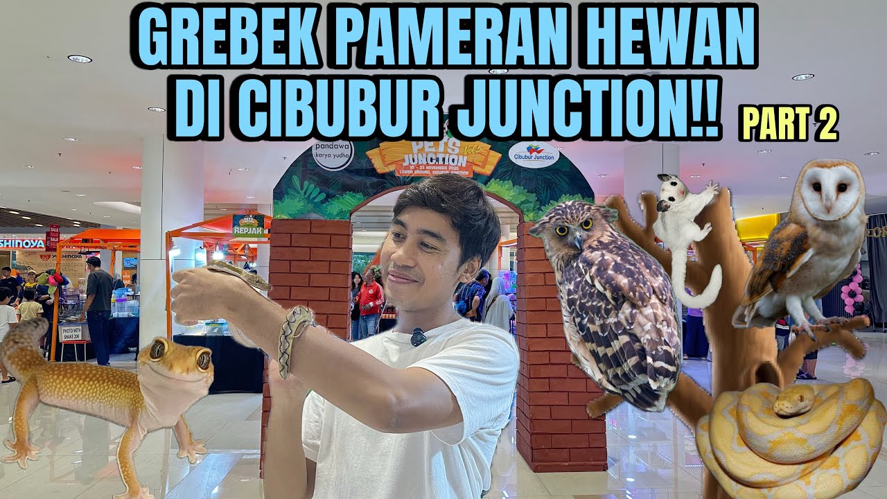 GREBEK PAMERAN HEWAN DI CIBUBUR JUNCTION PART 2‼️